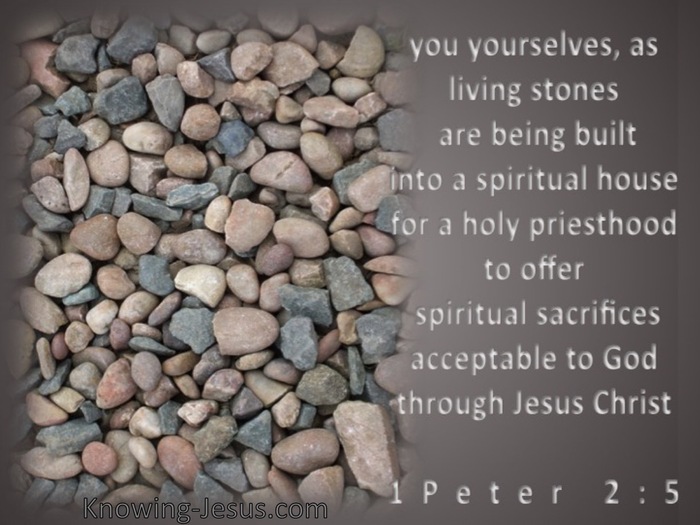 1 Peter 2:5 A Spiritual House (brown)