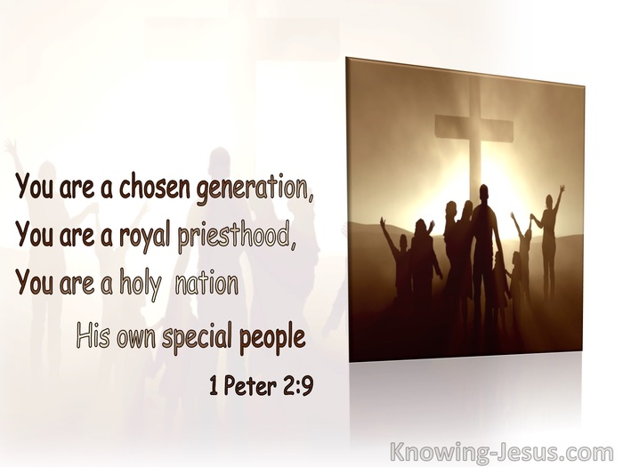 1 Peter 2:9 You Are A Chosen Nation, A Royal Priesthood, A Holy Nation (brown) (brown)