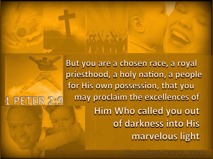 1 Peter 2:9 But you are a chosen race, a royal priesthood, a holy nation, a  people for God's own possession, so that you may proclaim the excellencies  of Him who has