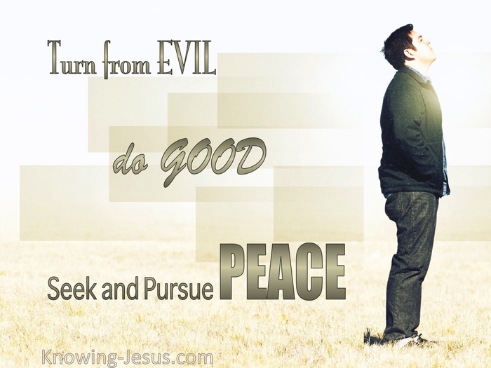 1 Peter 3:11 Turn From Evil And Do Good (sage)