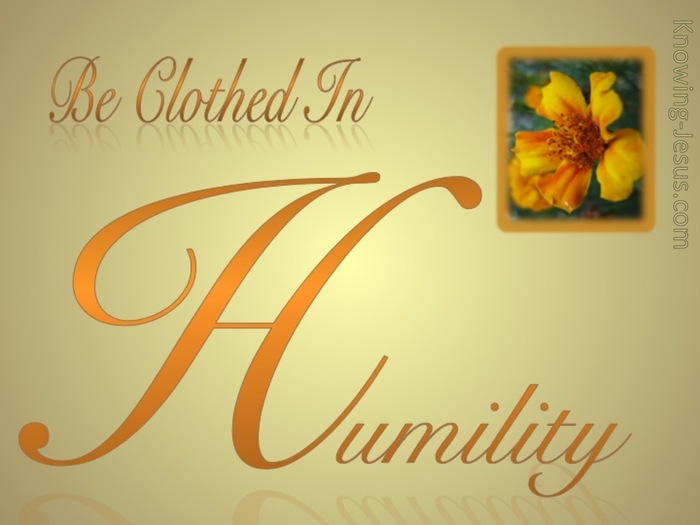 1 Peter 5:5 Be Clothed In Humility (orange)