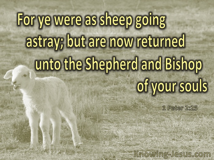 1 Peter 2:25 You Were Like Sheep Going Astray (gold)