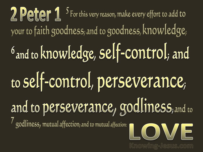 2 Peter 1:6 Add to Knowledge Temperance (gold)