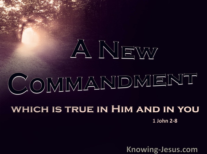 1 John 2:8 A New Commandment (pink)