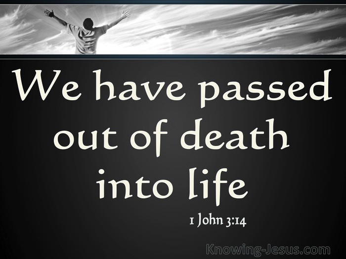 1 John 3:14 He Who Does Not Love Abides In Death (white)