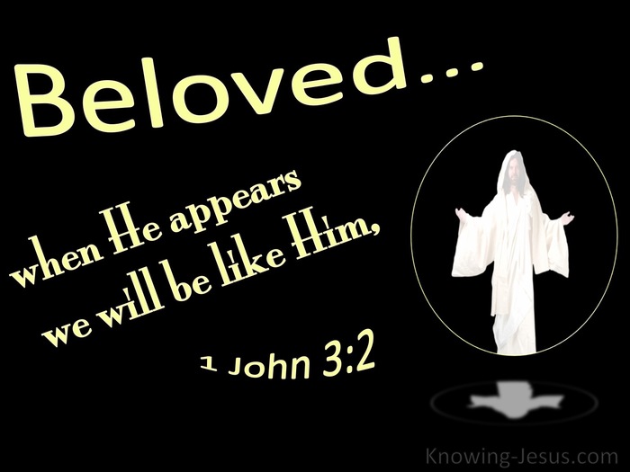 1 John 3:2 When He Appears We Shall Be Like Him (black)