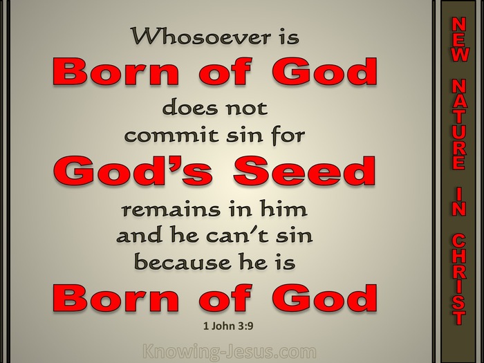 1 John 3:9 His Seed Remains In Him (red)