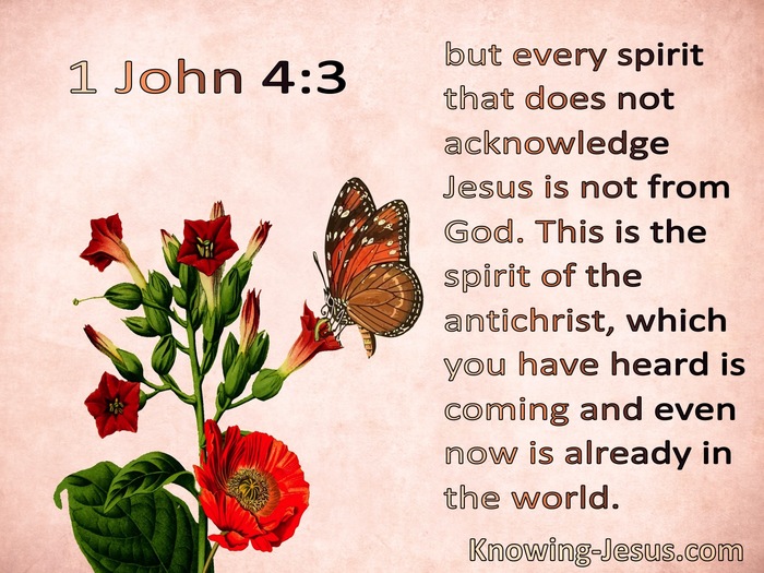 1 John 4:3 This Is The Spirit Of The Antichrist (pink)