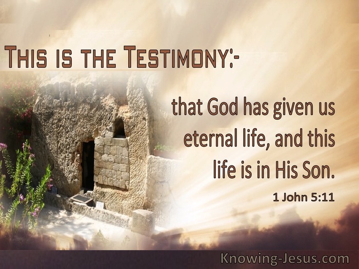 1 John 5:11 God Has Given Us Eternal Life In His Son (windows)07:02