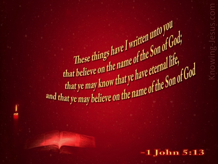 1 John 5:13 This Is Written That You Believe (maroon)