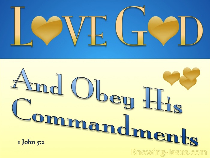 Laws Statutes And Commandments Kjv