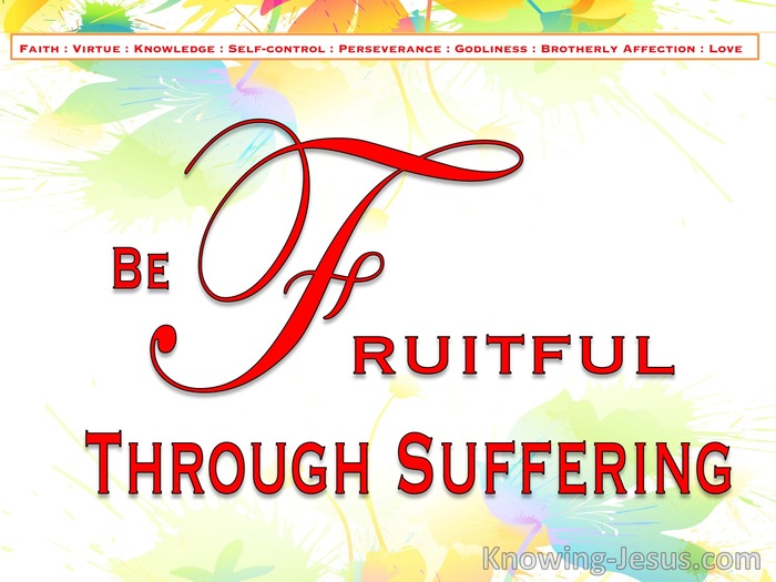  1 Peter 1:8 Be Fruitful Through Suffering (devotional)02:22 (red)