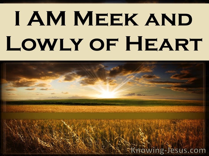 Meekness Definition And Examples