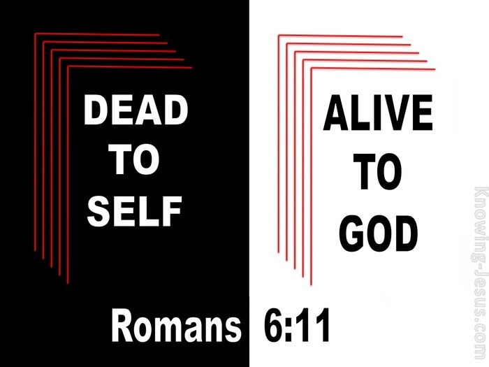 23 Bible verses about Death To Self