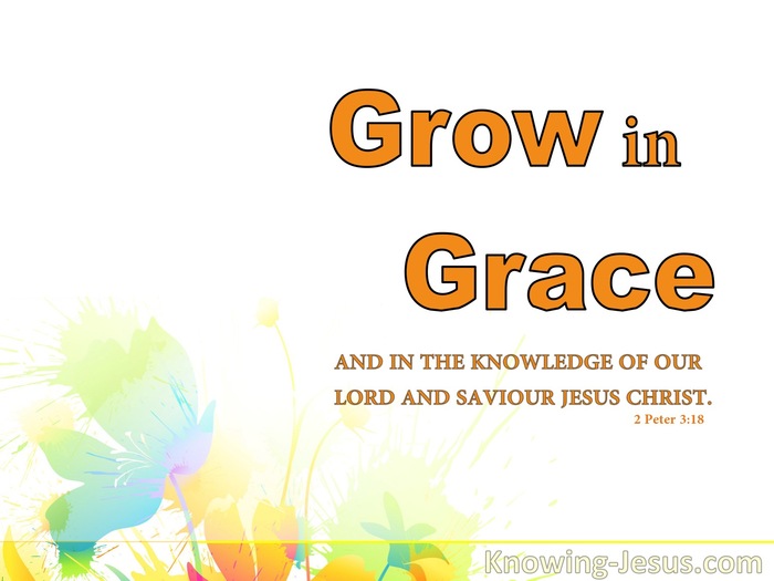  2 Peter 3:18 Growing in Grace (devotional)03:19 (red)