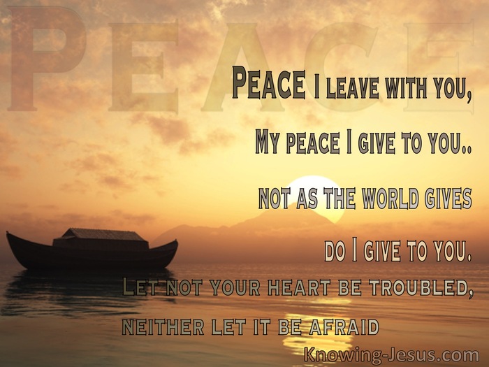John 14:27 Perfect Peace At Such A Time As This (devotional)02:12 (brown)