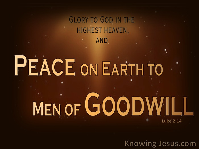 Luke 2:14 The Goodwill of God (devotional)08:21 (brown)