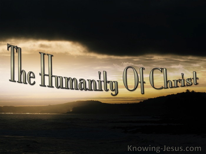1 John 4:3 The Humanity of Christ (devotional)09:06 (beige)