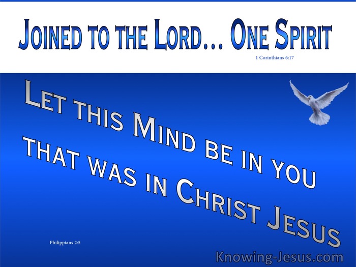 Philippians 2:5 The Lord Jesus Christ (devotional)05-17 (blue)