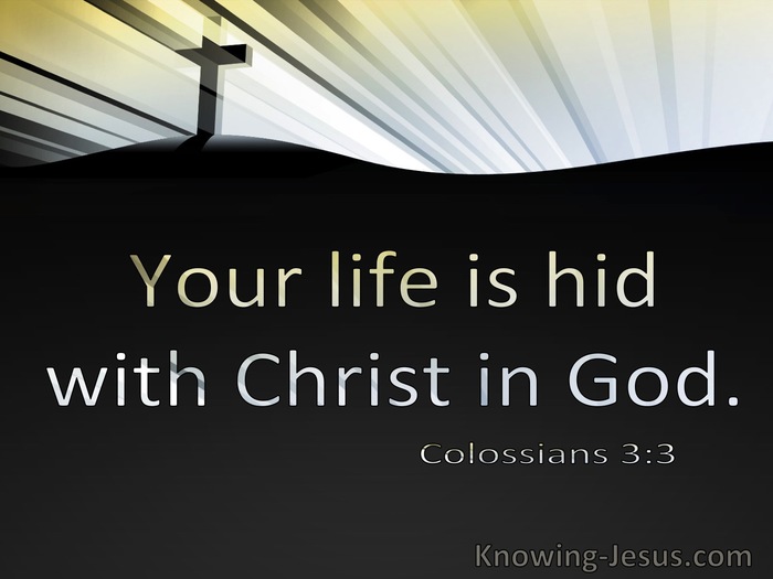 Colossians 3:3 Your Life Is Hid WIth Christ In God (utmost)12:24