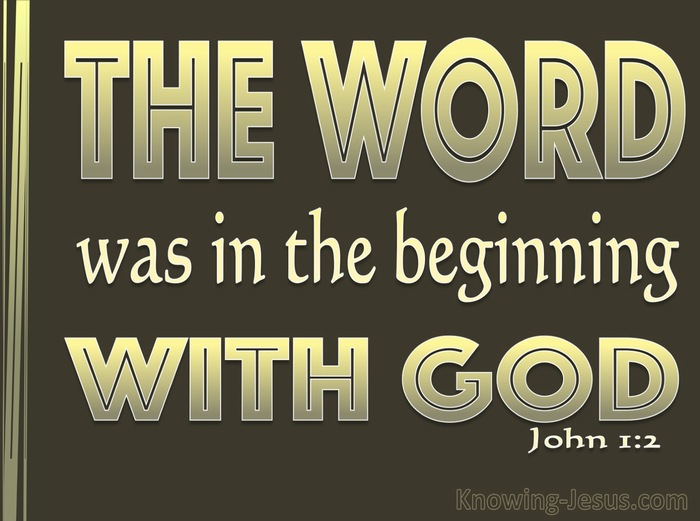 John 1:2 He Was In The Beginning With God (brown)
