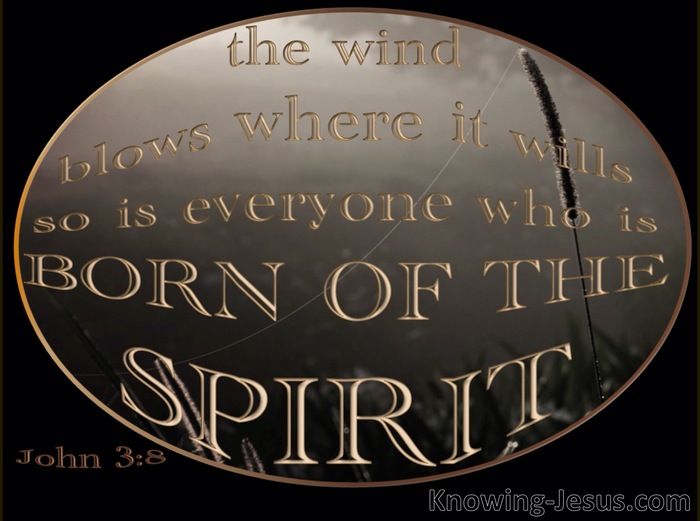 John 3:8 The Wind Blows Where It Wills (gray)