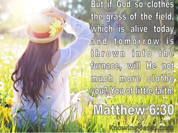 Matthew 6:30 If God So Clothe The Grass Of The Field (white)