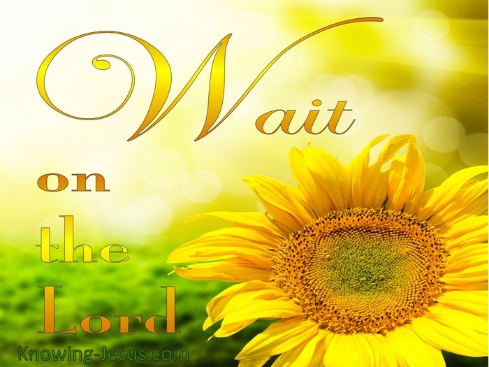 Psalm 27:14 Wait On The Lord (yellow)