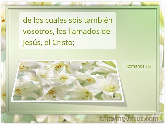 Romanos 1:6 (white)