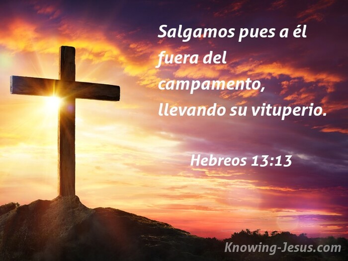 Hebreos 13:13 el abuso (navy)