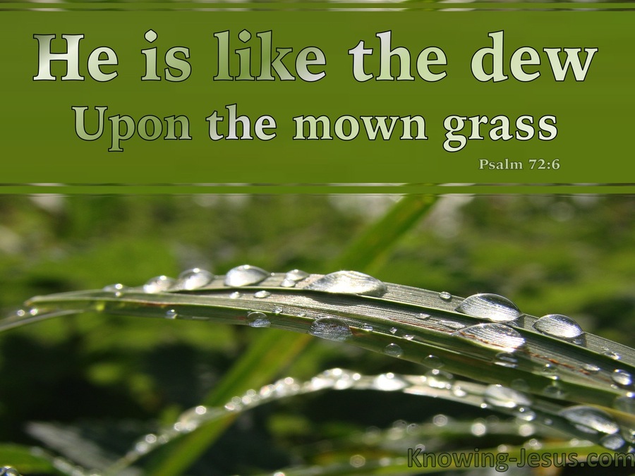 Psalm%2072 6%20He%20Is%20Like%20The%20Dew%20On%20The%20Mown%20Grass%20green