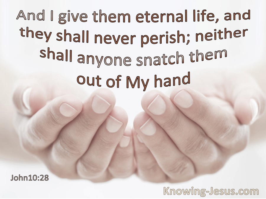 John 10:28 I Give Them Eternal Life And They Shall Not Perish None ...