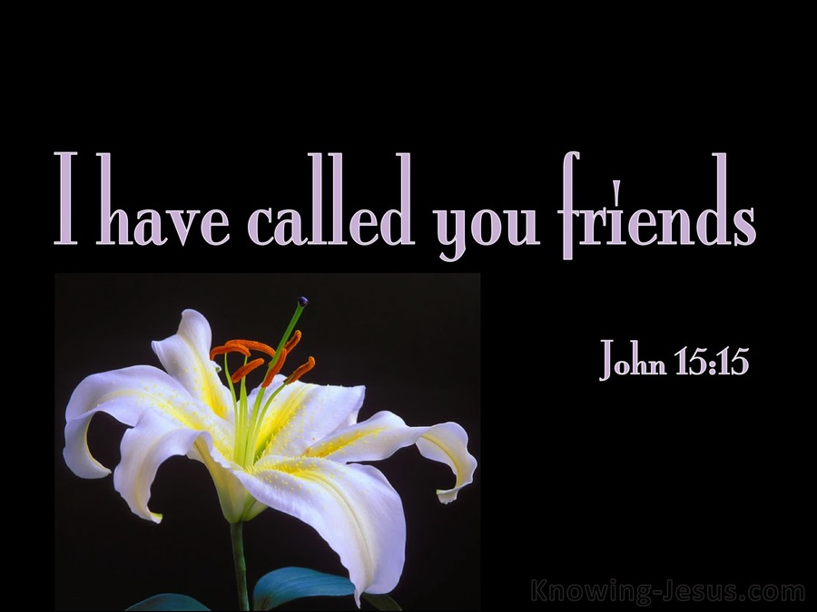Image result for John 15:15