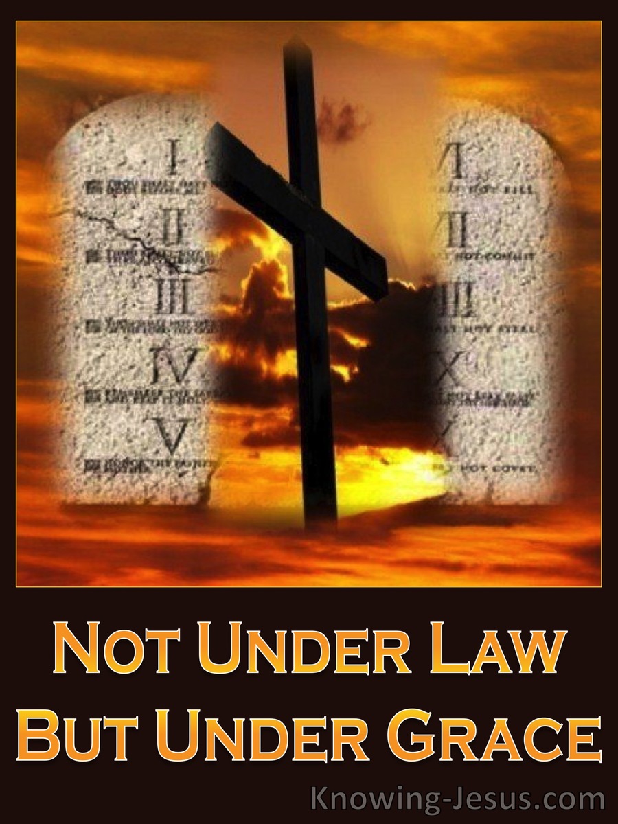 The Law Of Christ (devotional) (brown) (orange) - Romans 6:14