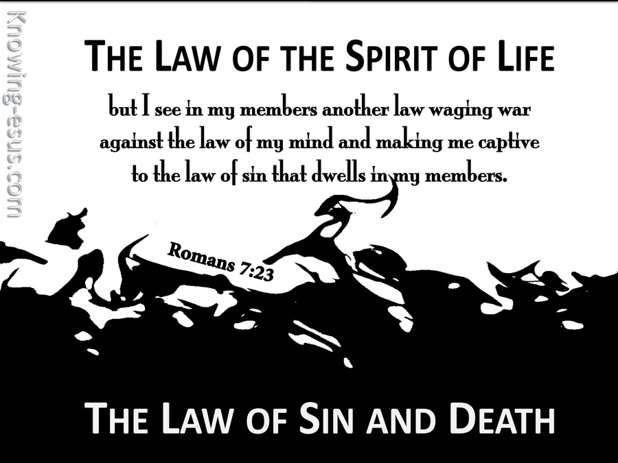 Romans 7:23 The Law Of  The Spirit Of Life (black)