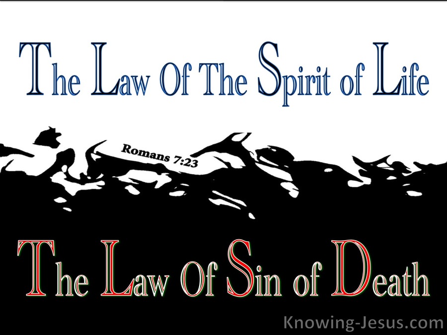 Romans 7:23 The Law of Sin (blue)