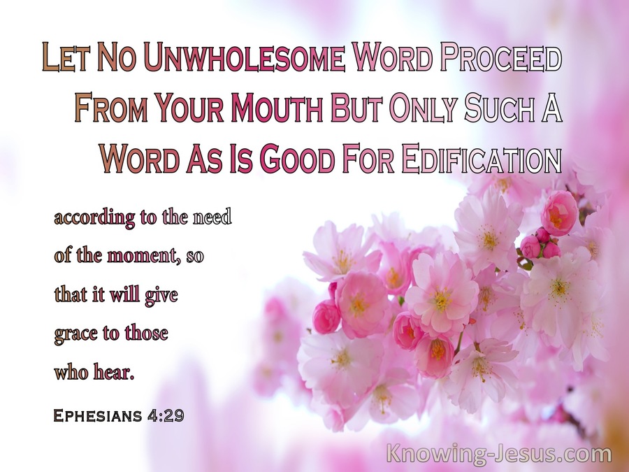 Ephesians 429 Let Your Words Speak Grace Pink