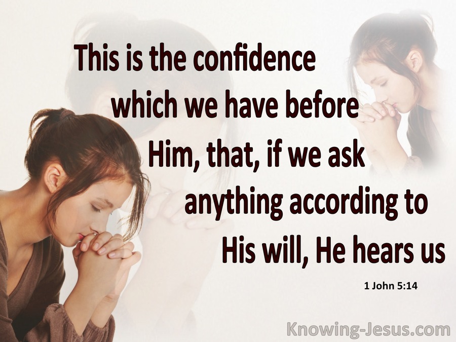 1 John 5:14 Confidence In Him (brown)