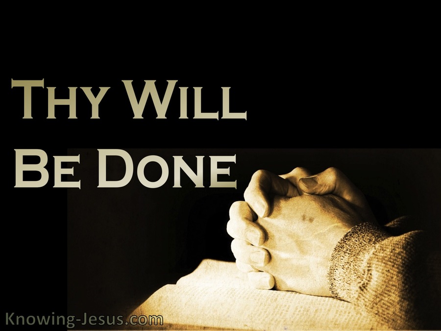 Luke 11-2 Thy Will Be Done (devotional)07-31 (brown)